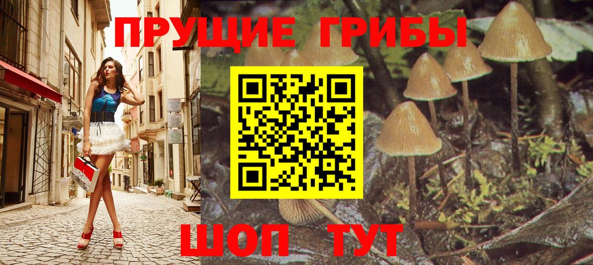 Псилоцибиновые грибы мицелий  Вход с VPN  Галлюциногенные грибы Cubensis  Магнитогорск 